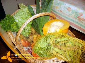 AMAP Panier de légumes